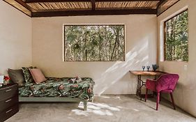 Casa Arkaana Eco Retreat